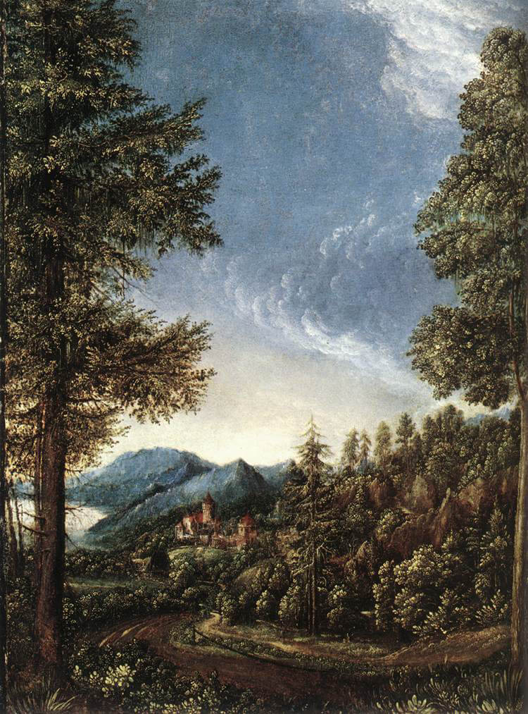 Danube Landscape by Albrecht Altdorfer (1520)